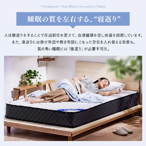 �}�b�g���X �Z�~�_�u�� �|�P�b�g�R�C�� �d�� ����23cm PMTS23H-SD Sheep_7