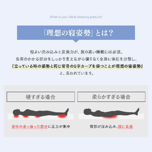 �}�b�g���X �Z�~�_�u�� �|�P�b�g�R�C�� �d�� ����23cm PMTS23H-SD Sheep_10