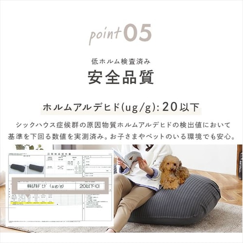 ビーズクッション リバーシブル RBC-1P ライトグレー K100645