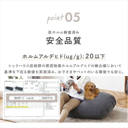 ���o�[�V�u���r�[�Y�N�b�V���� RBC-1P �S2�F_10