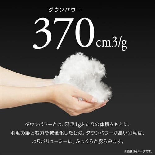 �H�ѕz�c �Z�~�_�u�� WDD90% 370dp 1.1kg ���̃L���g �z�����M �R�ۏ��L �A�C�{���[_6