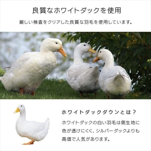 �H�ѕz�c �V���O�� WDD90% 370dp 0.4kg �z�����M �R�ۏ��L �A�C�{���[ _7