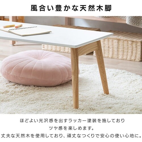 �܂肽���݃��[�e�[�u�� �Z���^�[�e�[�u�� FCT-800 �i�`������/�z���C�g_9