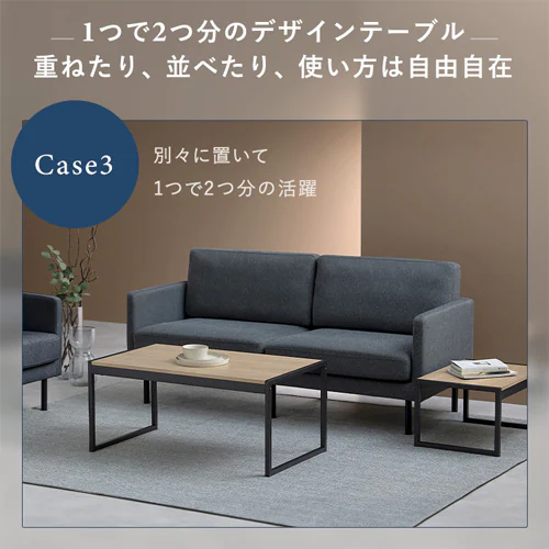 スチールフレーム ローテーブル センターテーブル SFCT-900N ナチュラル_6