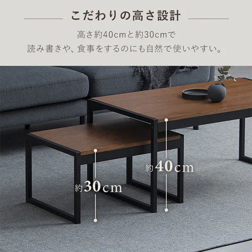 スチールフレーム ローテーブル センターテーブル SFCT-900N ナチュラル_8