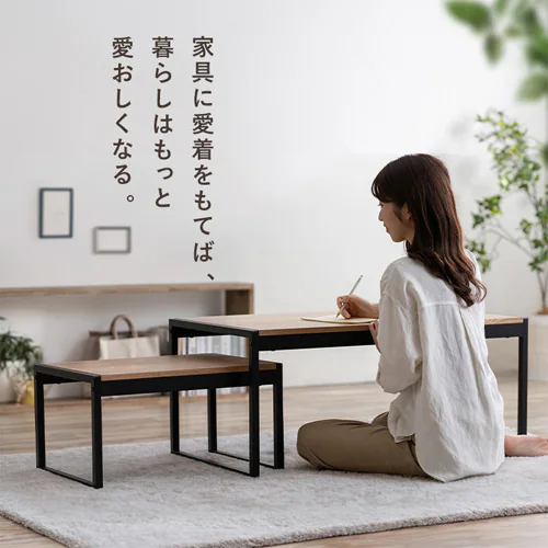 スチールフレーム ローテーブル センターテーブル SFCT-900N ナチュラル_14