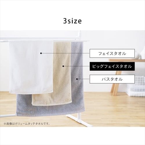 �y2���Z�b�g�z������ �r�b�N�t�F�C�X�^�I�� BFT-2 �A�C�{���[_4