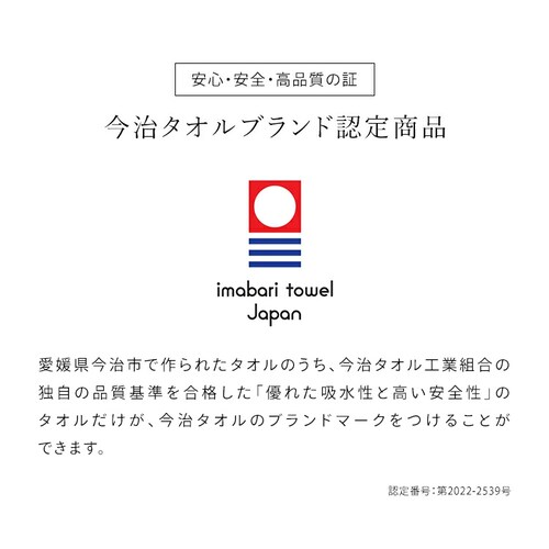 �y2���Z�b�g�z������ �r�b�N�t�F�C�X�^�I�� �{�����[���^�b�` BFT-V2 ���C�g�O���[_11