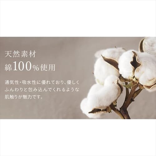 �y4���Z�b�g�z������ �o�X�^�I�� �f�C���[ BT-D2 �z���C�g _12