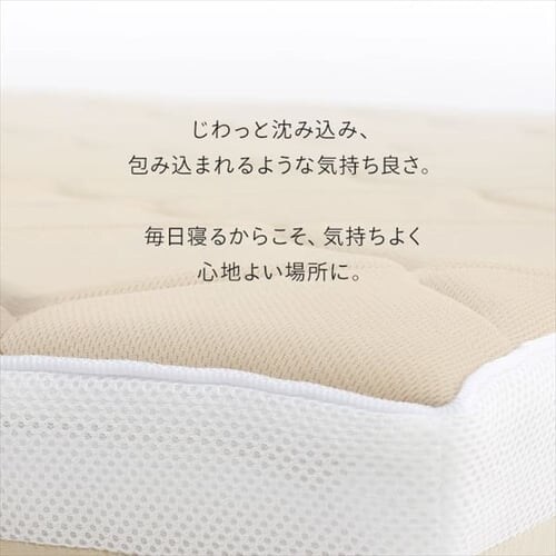 �ᔽ���E���^������~���z�c �V���O���T�C�Y SKF-LUB08-S �x�[�W��_2