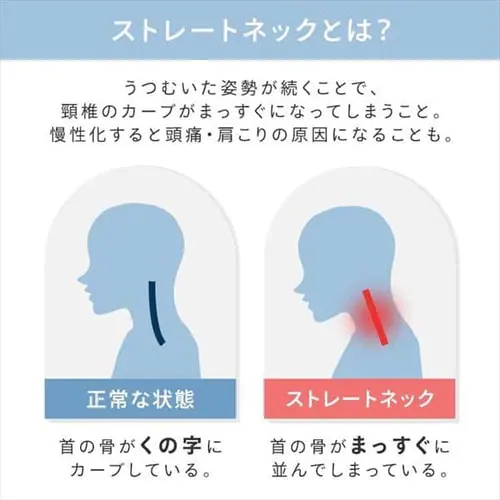 �� �X�g���[�g�l�b�N�P�A ��T�|�[�g PLW-SNB4558 _4