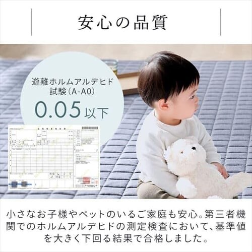 ���O ����߃L���g���O 185cm�~185cm 2�� �u���[ ORG-Y1818 _9