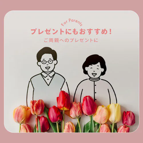 �֎q ��]�� ���N���C�j���O �n�C�o�b�N FACN-KHB �A�b�V��_4