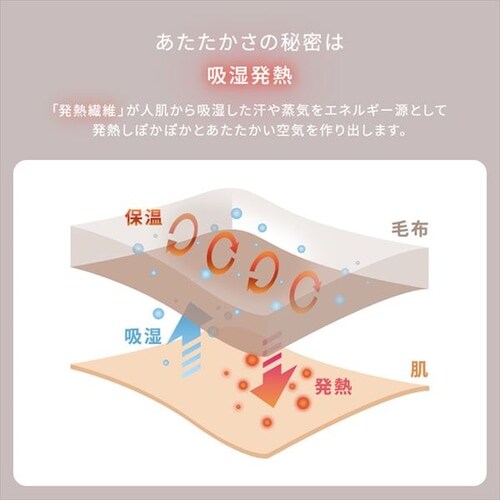 �ѕz �V���O�� 3WAY �z�����M �O���[ _9