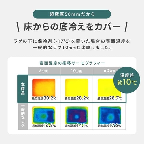 ラグ ラ・クッションラグ マイクロムートンタイプ 185cm×240cm 3畳 超