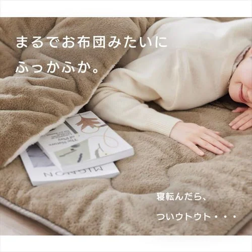 ���O �����~���z�c �����` 240�~190cm ����4cm �}�X�^�[�h _11