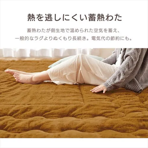 ���O �����~���z�c �����` 240�~190cm ����4cm �}�X�^�[�h _12