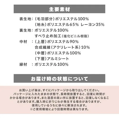 ラグ ぽかぽか5層ラグ 吸湿発熱 185cm×185cm 2畳 アイボリー ORG-PK1818_17