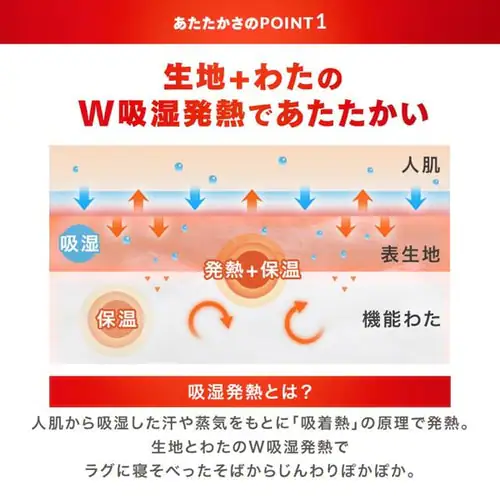 ラグ ぽかぽか5層ラグ 吸湿発熱 185cm×240cm 3畳 アイボリー ORG-PK1824_5