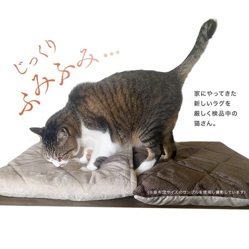 ラグ ふっくらボリュームごろ寝ラグ 185cm×185cm 2畳 厚さ4cm ブラウン