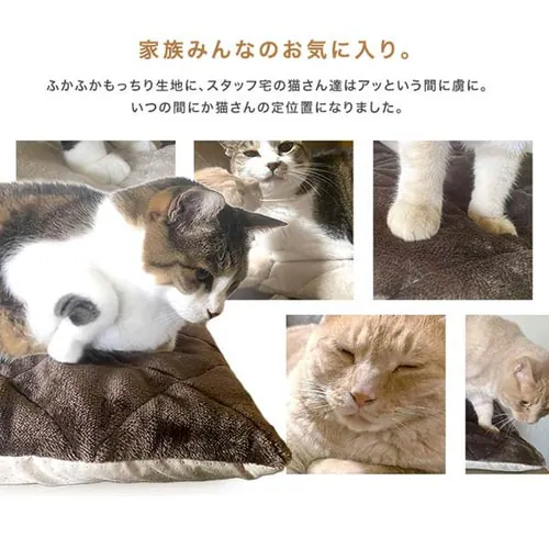 ���O �ӂ�����{�����[������Q���O 185cm�~185cm 2�� ����4cm �u���E��  ORG-V1818_5