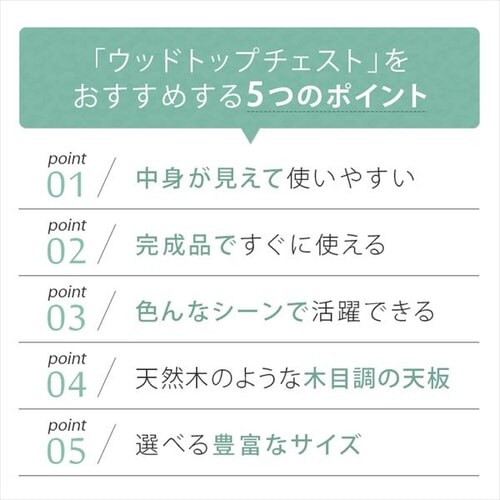 �y2�Z�b�g�z�`�F�X�g 5�i ���[�{�b�N�X �^���X �E�b�h�g�b�v�`�F�X�g WTS-305 �t�����`�I�[�N_2