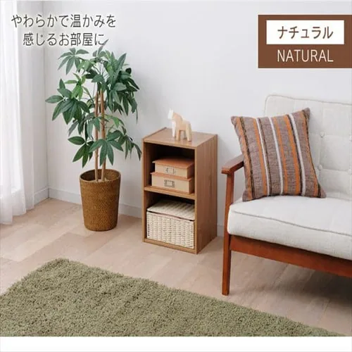 ���W���[���{�b�N�X���I MDB-2K �i�`������_9