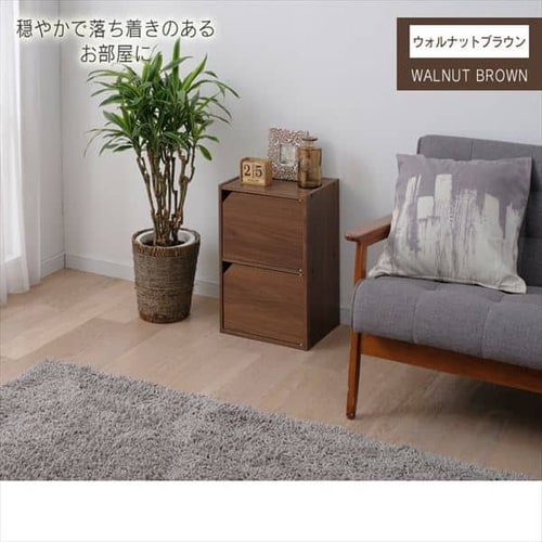 モジュールボックス扉付 MDB-2D オフホワイト K250479 │アイリス