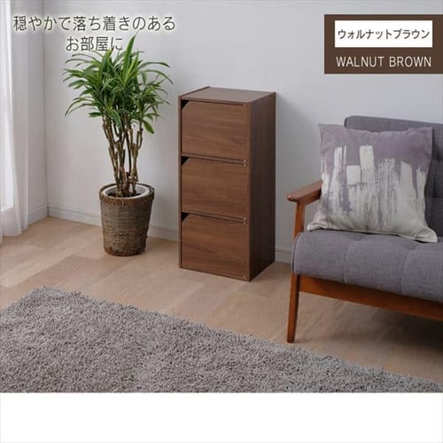 モジュールボックス扉付 MDB-3D オフホワイト K250482 │アイリス