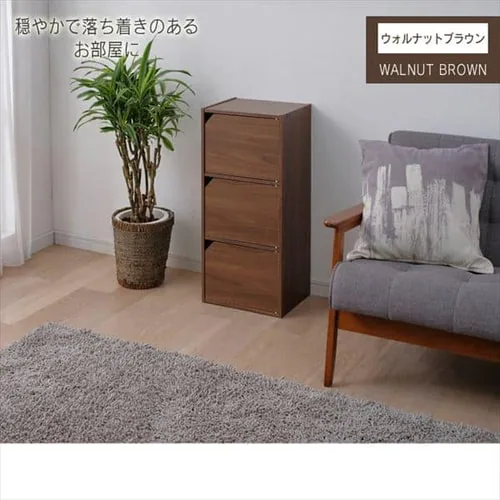 ���W���[���{�b�N�X���t MDB-3D �I�t�z���C�g _10