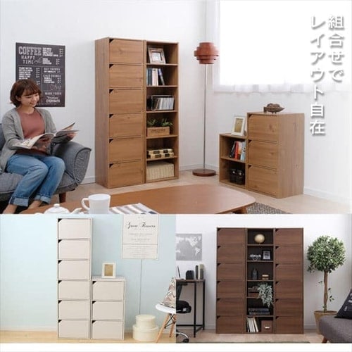 モジュールボックス扉付 MDB-6D ナチュラル K250486 │アイリス