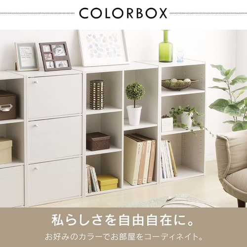 プラズマカラー 72色 ＋ 28色 全100色 100本収納ケース付き カラーボックス 2列タイプ CX-23C ブラウン K227899 │アイリス