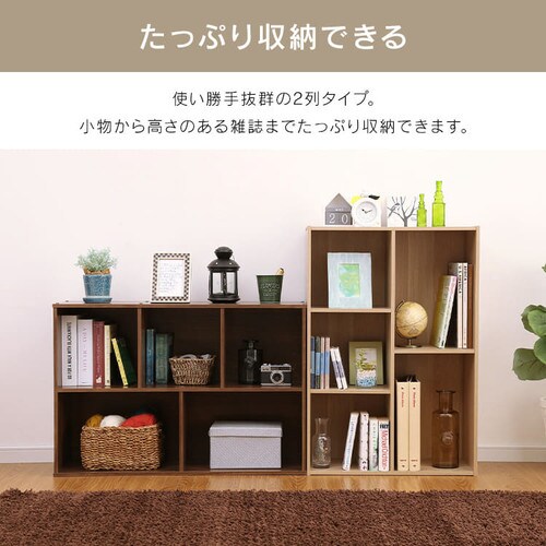 カラーボックス 2列タイプ CX-23C ブラウン K227899 │アイリス