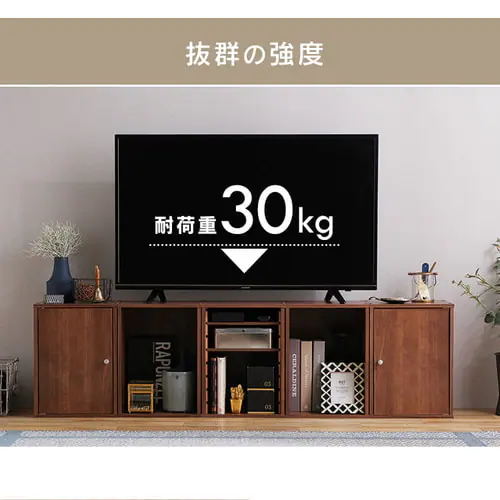 �J���[�{�b�N�X 1�i CX-1 �u���E��_10