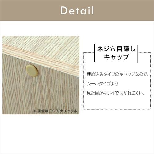 A4サイズ対応】カラーボックス 2段 CX-2F ブラウン K227881 │アイリス