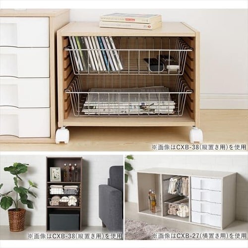 �y���u���p�z�J���[�{�b�N�X�p�o�X�P�b�g CXB-27 �V���o�[_5