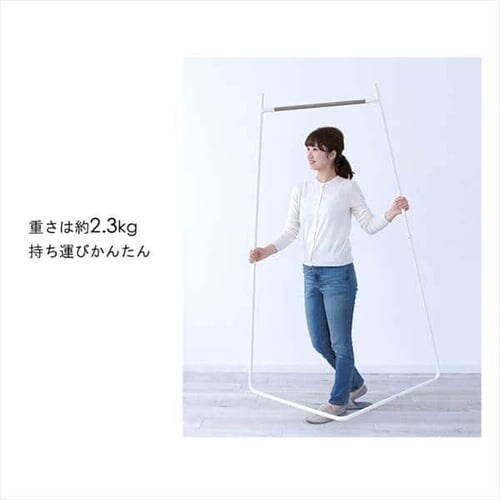 �X�^�C���n���K�[ �R�[�i�[�^�C�v PI-C150 �S2�F_11