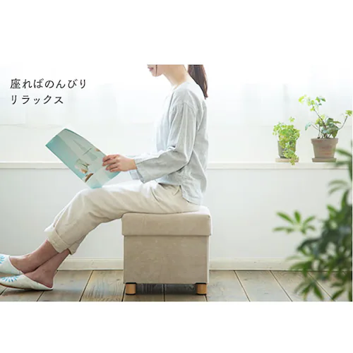 �X�c�[�� �r�t�� ���[�t��  ASST-38 �x�[�W���R�[�f�����C �x�[�W��_4