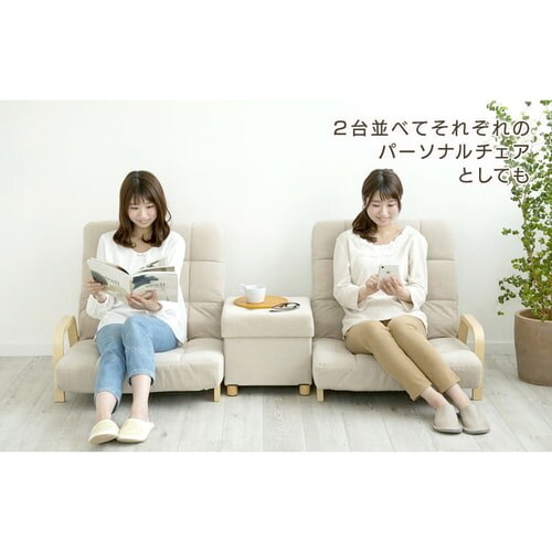 �y�󂠂�z�֎q ���N���C�j���O �ؐ��A�[�� WAC-W �R�[�f�����C�^�x�[�W��_11