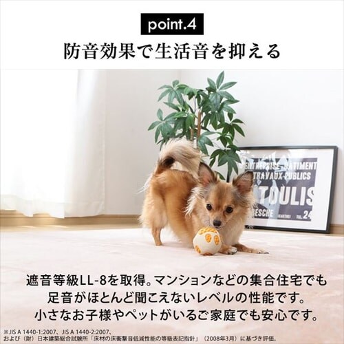 ラ・クッションラグ ACRB-812 ブラウン_13