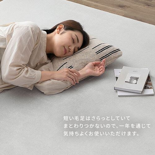 ラグ ラ・クッションラグ 185cm×185cm 2畳 厚さ3cm ブルー ACRB-1818