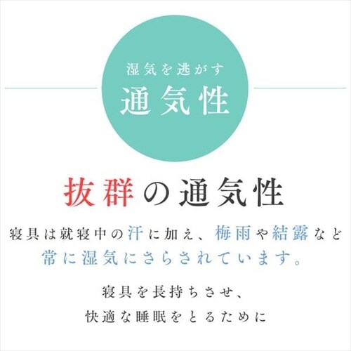 �G�A���[�v���X�}�b�g���X �_�u��_16