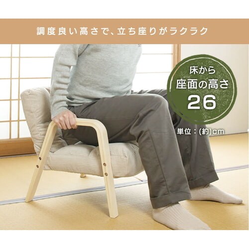 �֎q ���N���C�j���O �ؐ��A�[�� WAC-S �x�[�W��_3