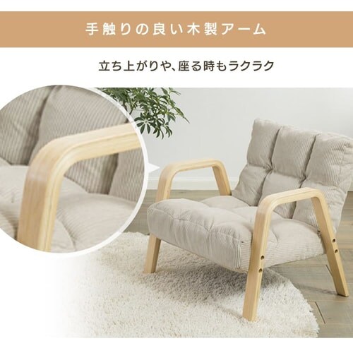 �֎q ���N���C�j���O �ؐ��A�[�� WAC-S �x�[�W��_5