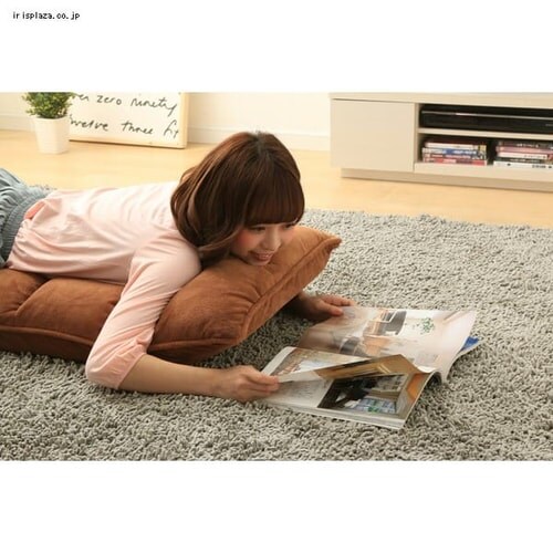 ���֎q �ᔽ�� ZCR-2 �A�C�{���[_13