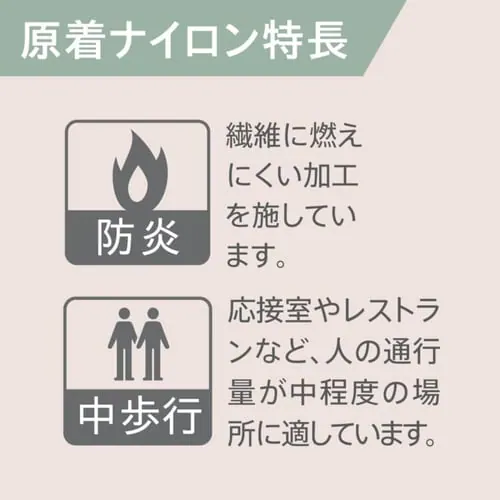 �y20���Z�b�g�z�^�C���J�[�y�b�g P�X�N�G�A�V���[�Y 50�~50 PS512-PZ�@�u���[�u���b�N_5