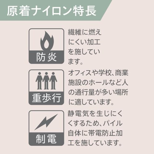 �y20���Z�b�g�z�^�C���J�[�y�b�g 50�~50 NP�X�N�G�A�V���[�Y NP501-PZ �`���R�[���O���[_3