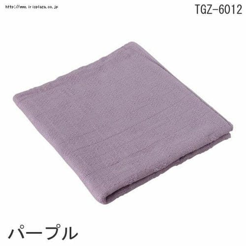 �K�[�[�o�X�^�I���@TGZ-6012�@�u���E��_4