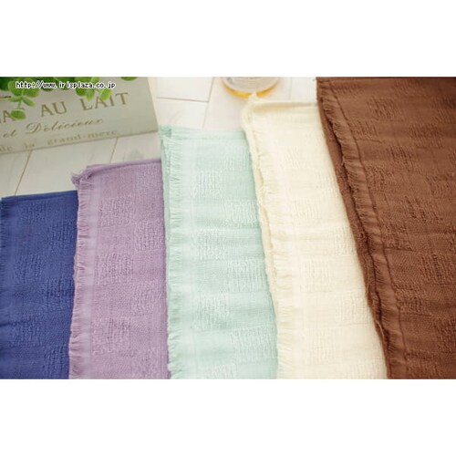 �K�[�[�o�X�^�I���@TGZ-6012�@�u���E��_8