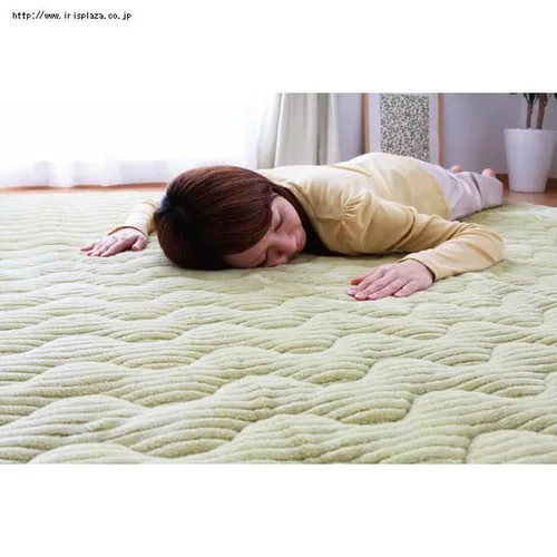 �q�[�g�v���X���O �y190�~190cm�z OHP-1919 �O���[���E�s���N�E�A�C�{���[�E�x�[�W���E�u���E���E�u���b�N_5